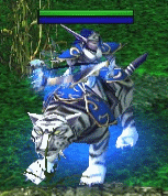 Warcraft 3 Manabars