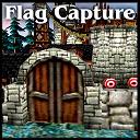 Flag Capture